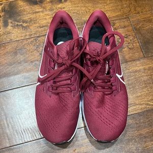 Nike Pegasus